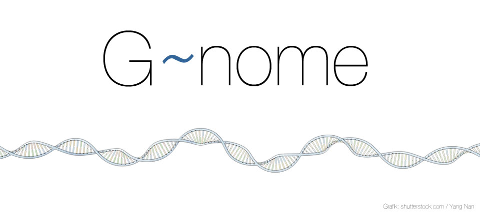 big-genome